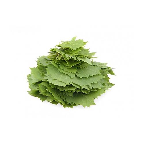 Asma Yapra Taza Yeni Sezon(ekirdeksiz Sultaniye zm Yapra) 500 gr.