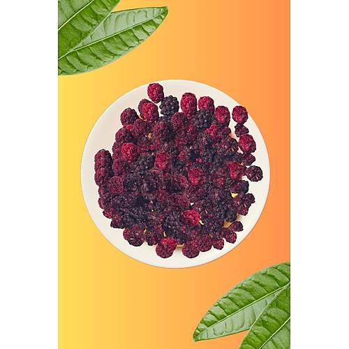 Ege'den Freezya Freezya Freeze Dried Dondurularak Kurutulmu Brtlen - 15 gr