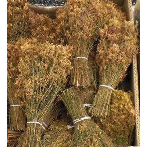 Sar� Kantaron Demeti (Yabani Kantaron Demeti) 100 gr