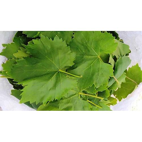 Asma Yapra Taza Yeni Sezon(ekirdeksiz Sultaniye zm Yapra) 500 gr.