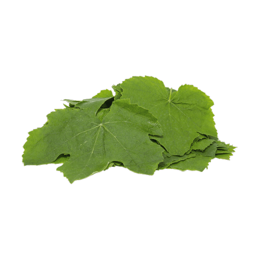 Asma Yapra Taza Yeni Sezon(ekirdeksiz Sultaniye zm Yapra) 500 gr.