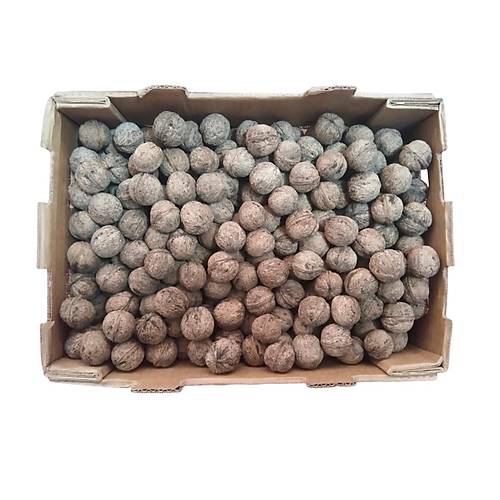 Yerli Ata Tohumu Topak Cinsi Ya�l� Kabuklu Ceviz 1 KG