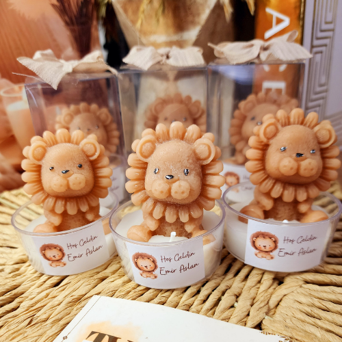 Aslan Mum