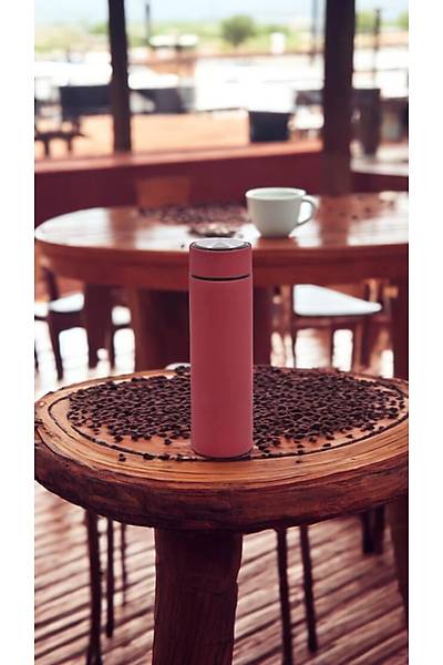 IZOTERMAL METALIK BORDO 450 ML TERMOS