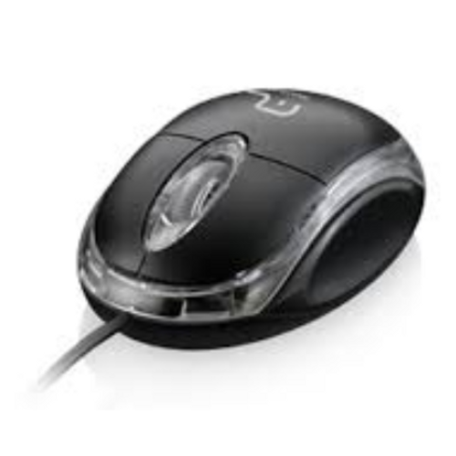 Dvr in Mouse