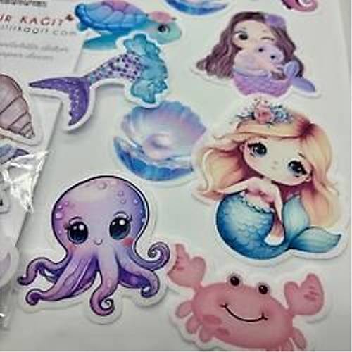 Yenilebilir Kat Hazr Kesilmi Deniz Kz Tema