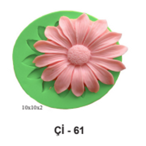 �� 61