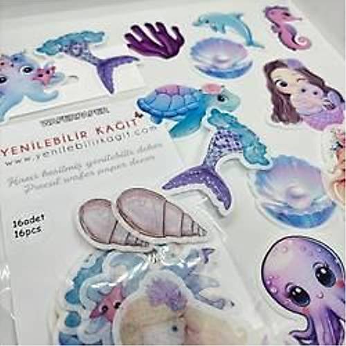 Yenilebilir Kat Hazr Kesilmi Deniz Kz Tema