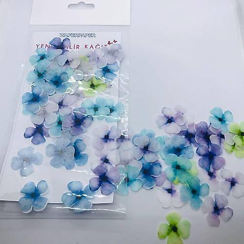 Yenilebilir Kat Mini iekler