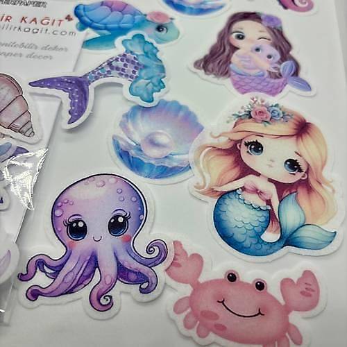 Yenilebilir Kat Hazr Kesilmi Deniz Kz Tema