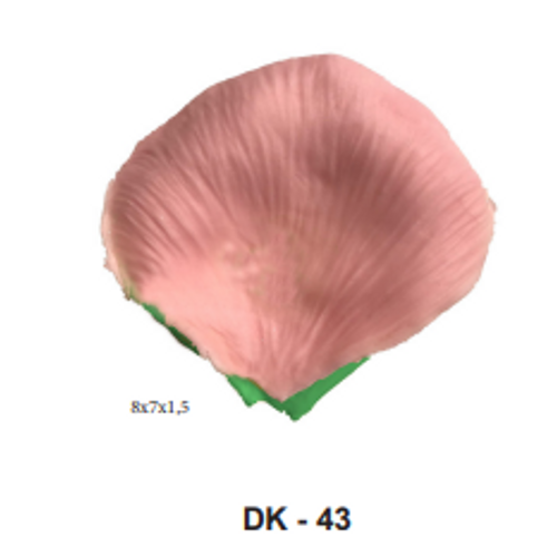 DK-43