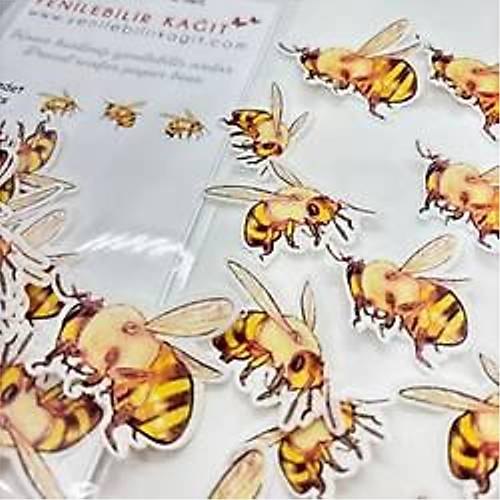 Yenilebilir Kat Hazr Kesilmi Ar Tema