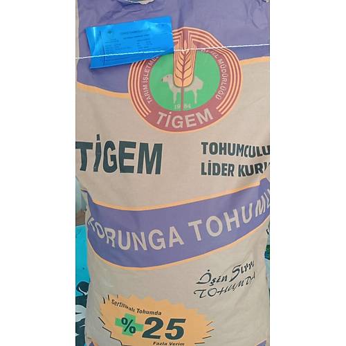 Korunga Tohumu Onobrychis Sativa