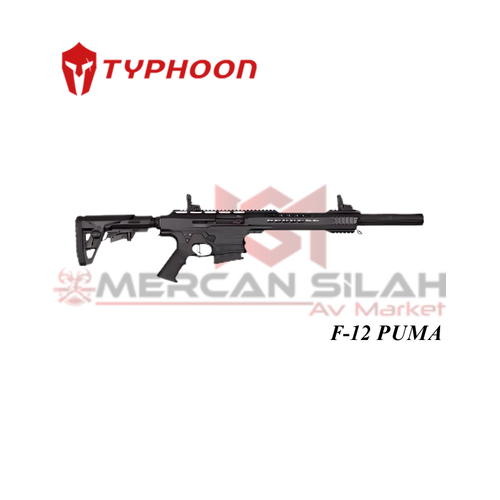 TYPHOON F-12 PUMA Av Tfei