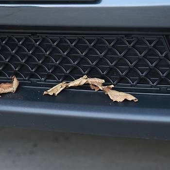 Tesla Juniper n Tampon Ortasna Taklan Alp Temizlenebilen Izgara, Siyah Renk