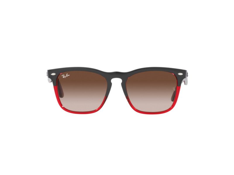 Ray-Ban Steve RB 4487 6631/13 54/18