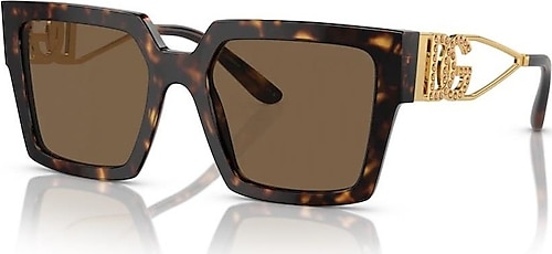 Dolce Gabbana  Dg4446-B 502/73 53/19