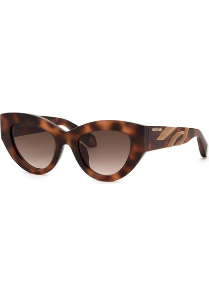 Roberto Cavalli Güneş Gözlüğü SRC009M 02BV 51/21