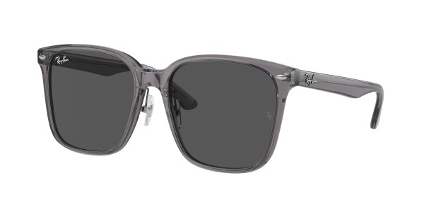 Ray-Ban RB2206D 1399/87 57/18