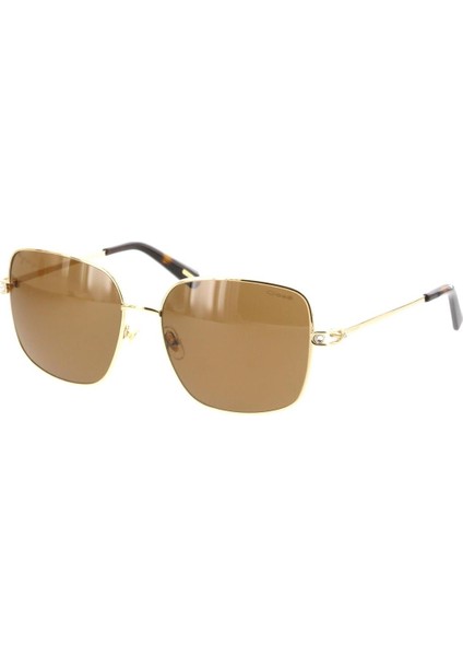 OS 3216 02 60/16 Güneş Bayan Gözlüğü POLARIZED