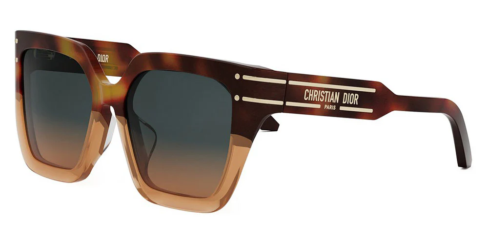CHRISTIAN DIOR DiorSignature S10F 25F2 55/17