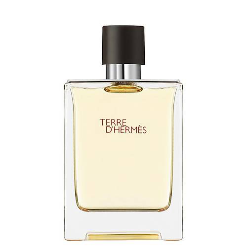 Hermes TERRE D'HERMES Erkek Parfümü EDT