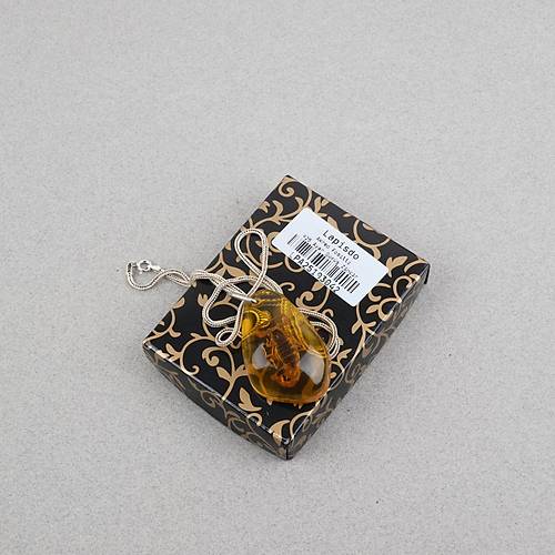 Ger�ek Akrep Fosilli 925 Ayar G�m�� Zincirli Kolye - Tip D