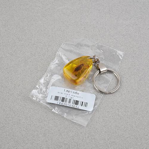 Akrep Fosilli Anahtarl�k -Tip E