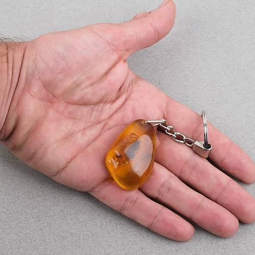 Akrep Fosilli Anahtarl�k -Tip D