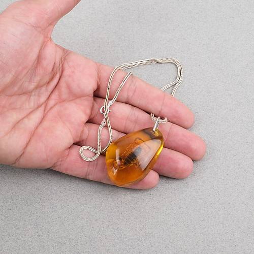 Ger�ek Akrep Fosilli 925 Ayar G�m�� Zincirli Kolye - Tip D