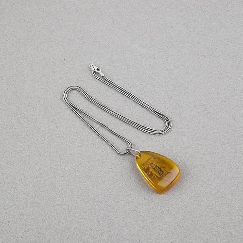 Ger�ek Akrep Fosilli 925 Ayar G�m�� Zincirli Kolye - Tip E