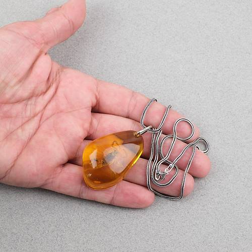 Ger�ek Akrep Fosilli 925 Ayar G�m�� Zincirli Kolye - Tip D