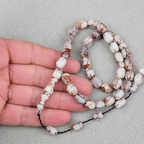 K�br�s Hurma �ekirde�i Kaps�l Kesim �mer �ift�i Sikkeli 8x10.5mm Tesbih