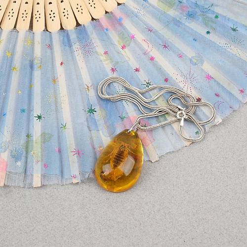 Ger�ek Akrep Fosilli 925 Ayar G�m�� Zincirli Kolye - Tip B