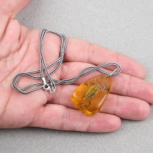 Ger�ek Akrep Fosilli 925 Ayar G�m�� Zincirli Kolye - Tip E