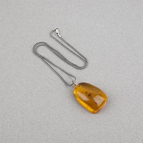 Ger�ek Akrep Fosilli 925 Ayar G�m�� Zincirli Kolye - Tip C