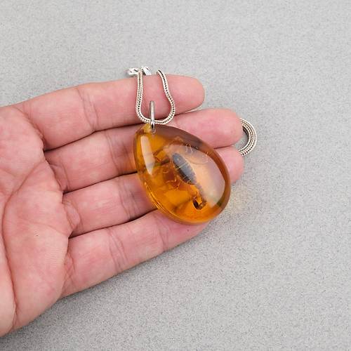 Akrep Fosilli G�m�� Zincirli Kolye