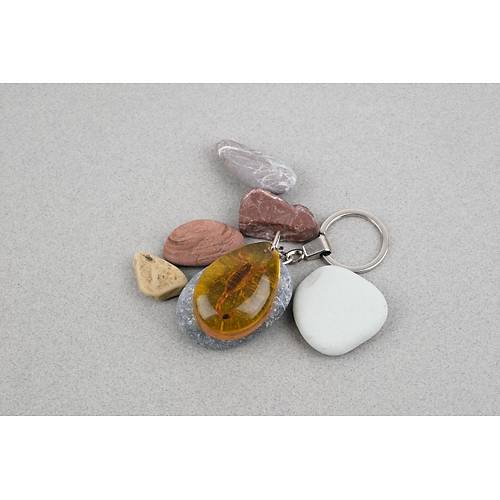 Akrep Fosilli Anahtarl�k -Tip A