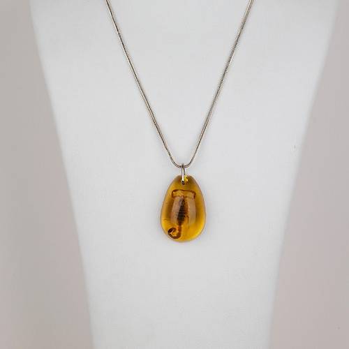 Ger�ek Akrep Fosilli 925 Ayar G�m�� Zincirli Kolye - Tip B