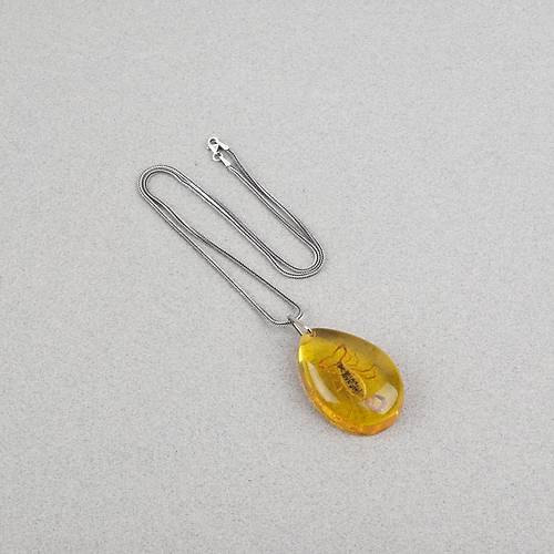 Akrep Fosilli G�m�� Zincirli Kolye