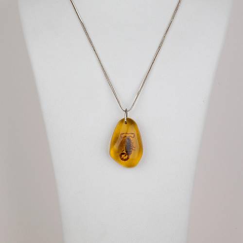 Ger�ek Akrep Fosilli 925 Ayar G�m�� Zincirli Kolye - Tip D