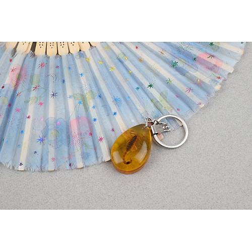 Akrep Fosilli Anahtarl�k -Tip A