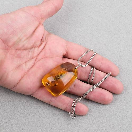 Ger�ek Akrep Fosilli 925 Ayar G�m�� Zincirli Kolye - Tip C