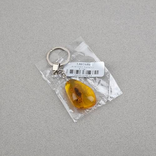 Akrep Fosilli Anahtarl�k -Tip D