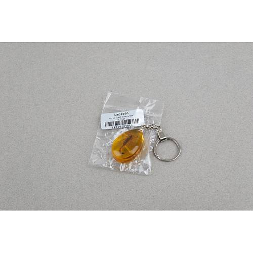 Akrep Fosilli Anahtarl�k -Tip A