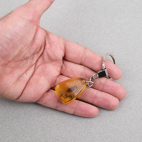 Akrep Fosilli Anahtarl�k -Tip E