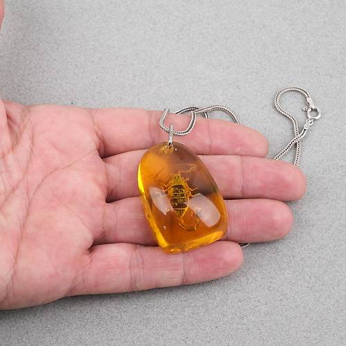 Ger�ek Akrep Fosilli 925 Ayar G�m�� Zincirli Kolye - Tip C