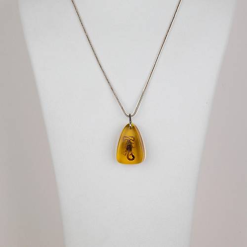 Ger�ek Akrep Fosilli 925 Ayar G�m�� Zincirli Kolye - Tip E