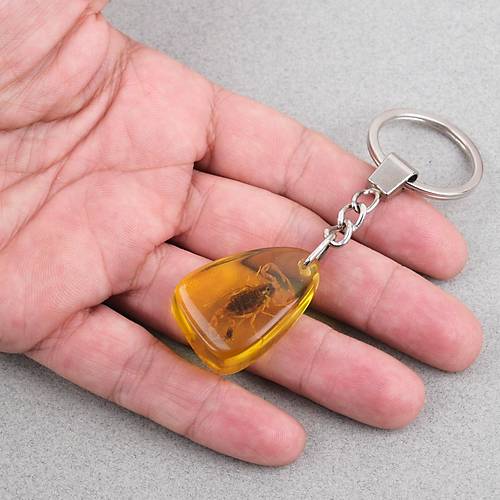 Akrep Fosilli Anahtarl�k -Tip E