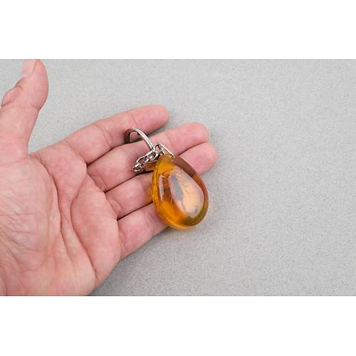 Akrep Fosilli Anahtarl�k -Tip A